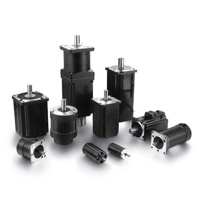 9 Koppel Riorand 350W 6-60V PWM DC borstelloze elektrische motor Soepel voor optimale prestaties