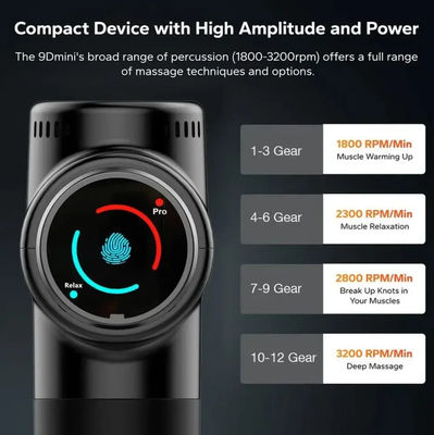 12 snelheden Vibratie Timing Control Massage pistool voor fitness en spier ontspanning