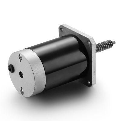 Verstelbare snelheid en omgekeerde 24V 100W gepoetste gelijkstroommotor voor zwarte industriële machines