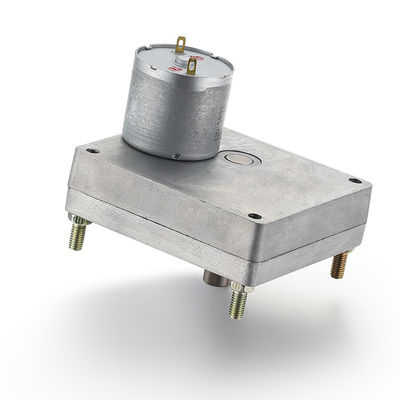 28mm 24v 7,73W Zilveren tandwielmotor Hoge koppelborstelband DC-motor voor aanpassing