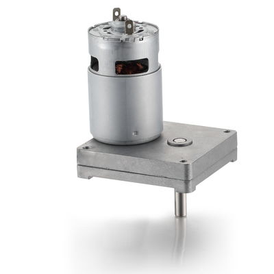 Zilveren 42 mm High Torque Square Spur Gear DC Motor 12V 24V 21.1W Gepoetste DC Gear Motor
