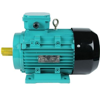 10 pk 20 pk 30 pk 380v 415v 440v Driefasige wisselstroominductiemotor met en 6.2A Spanning