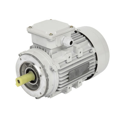 High Torque Asynchrone Inductie Driefasige Eenfasige Explosiebestendige DC Motor