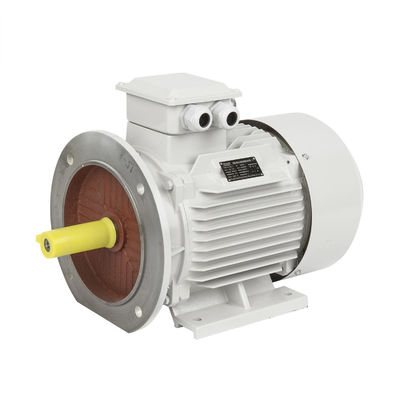 High Torque Asynchrone Inductie Driefasige Eenfasige Explosiebestendige DC Motor