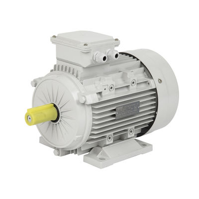 High Torque Asynchrone Inductie Driefasige Eenfasige Explosiebestendige DC Motor