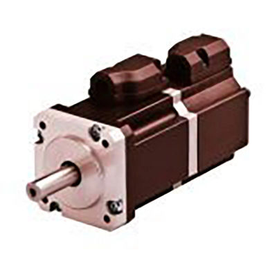 Huishoudelijk apparaat 90/110VDC vermogen 2.5HP loopband motor van Nepal DC Electric Motor