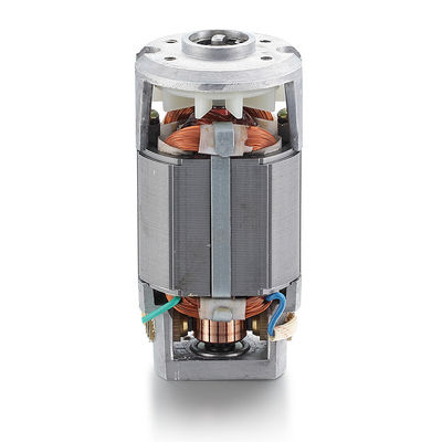 40w nominale vermogen AC synchrone universele motor voor 110v 220v enkelfasige elektromotor