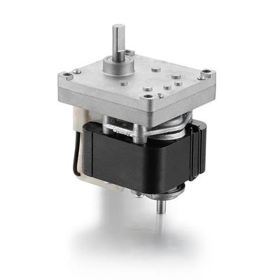 61mm 50Hz/60Hz AC Elektromotor 30W 110V/220V Schaduwrijke versnellingsbak AC-motor met D-as