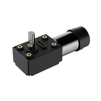 Elektrische DC-motor 1kg Tuinwerktuigen met 12V Plastic Shell DC Worm Gear BLDC-motor