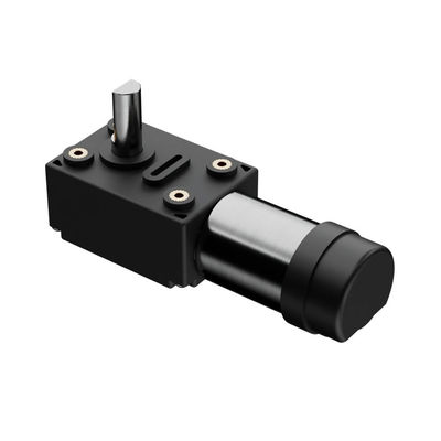 Elektrische DC-motor 1kg Tuinwerktuigen met 12V Plastic Shell DC Worm Gear BLDC-motor