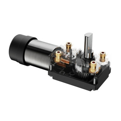 Elektrische DC-motor 1kg Tuinwerktuigen met 12V Plastic Shell DC Worm Gear BLDC-motor