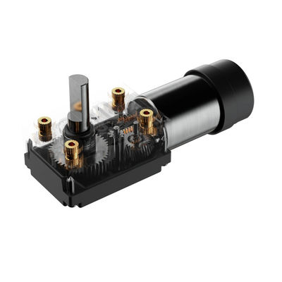 Elektrische DC-motor 1kg Tuinwerktuigen met 12V Plastic Shell DC Worm Gear BLDC-motor