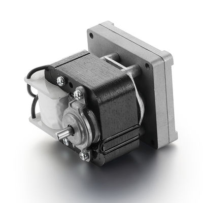 High Torque 61mm 2500rpm 3000rpm 50/60Hz loopbandmotor met laag geluid en eenfasige