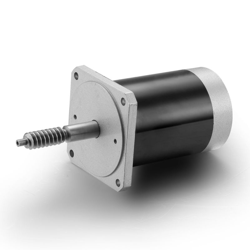 Verstelbare snelheid en omgekeerde 24V 100W gepoetste gelijkstroommotor voor zwarte industriële machines