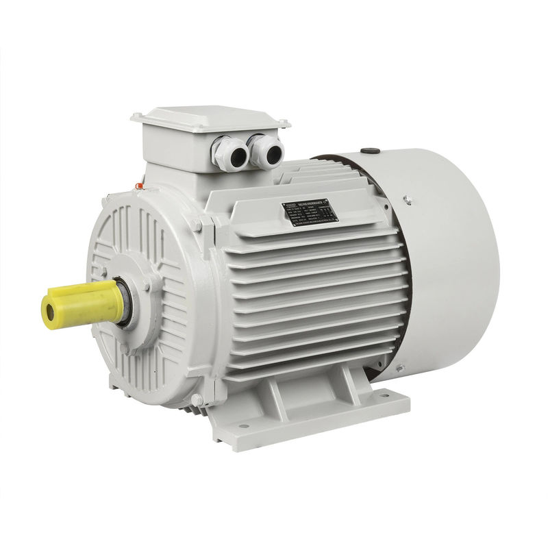 High Torque Asynchrone Inductie Driefasige Eenfasige Explosiebestendige DC Motor