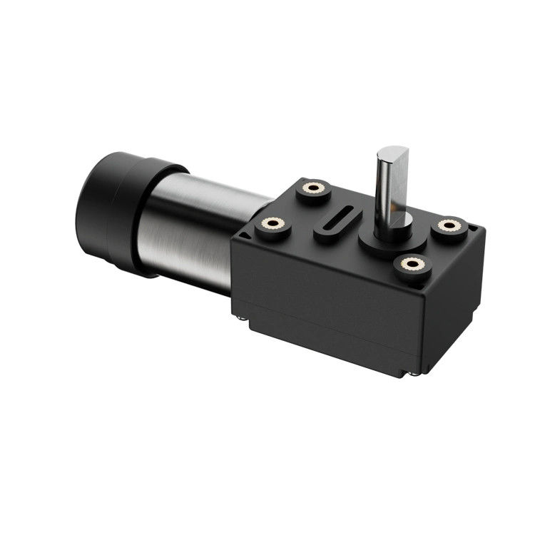 Elektrische DC-motor 1kg Tuinwerktuigen met 12V Plastic Shell DC Worm Gear BLDC-motor